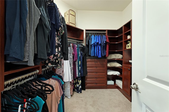 spacious closet with light colored carpet