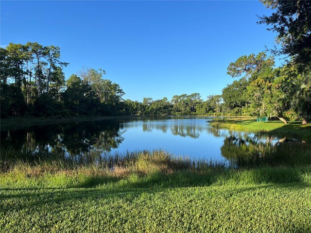 7430 Weeping Willow Dr, Sarasota, FL 34241 - view of water feature featuring a forest view