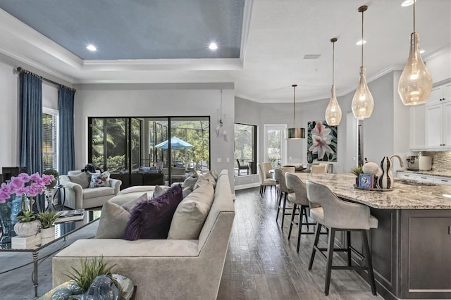 living room featuring dark hardwood / wood-style floors, a raised ceiling, ornamental molding, and sink