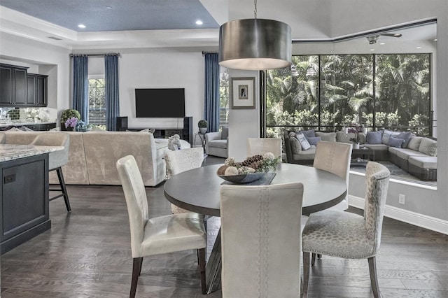 dining room featuring a raised ceiling, ceiling fan, and dark wood-type flooring