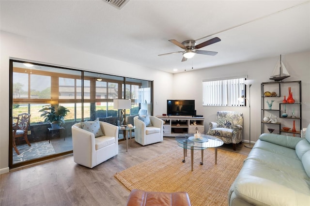 living room with ceiling fan, light wood-type flooring, and a wealth of natural light