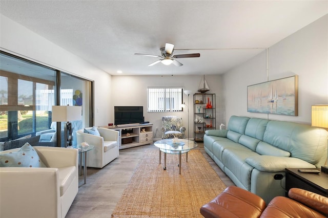 living room with ceiling fan, light hardwood / wood-style floors, and a textured ceiling