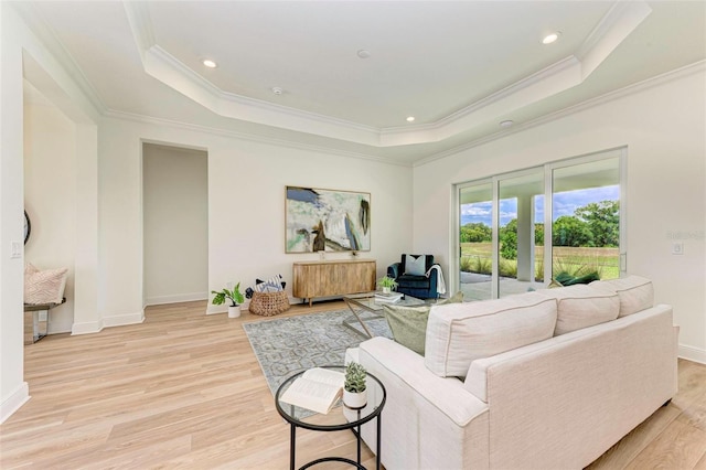 living room featuring ornamental molding, a raised ceiling, and light hardwood / wood-style floors