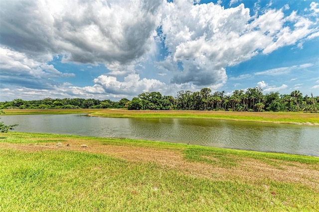 14359 Skipping Stone Loop, Parrish, FL 34219 - photo 52