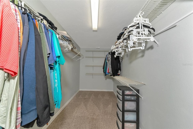 walk in closet featuring carpet floors