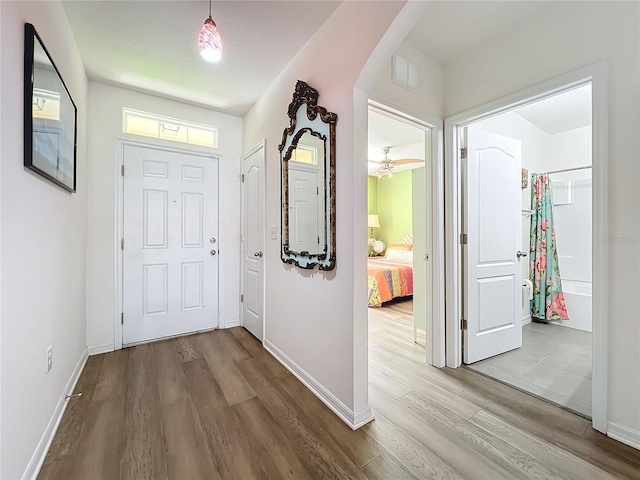 foyer featuring hardwood / wood-style floors and ceiling fan