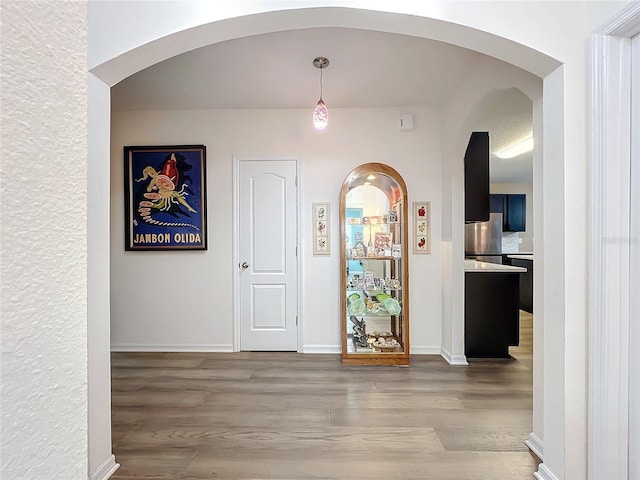 foyer entrance featuring wood-type flooring