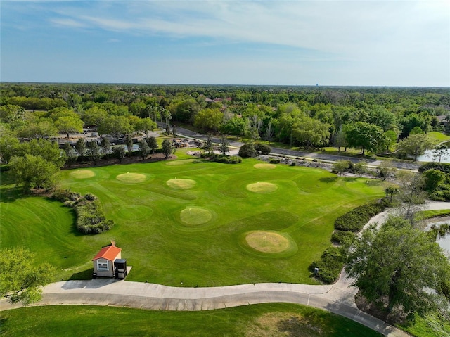 bird's eye view