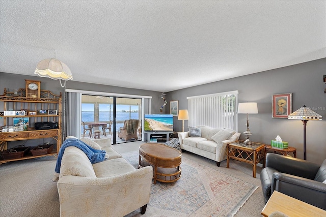 carpeted living room with a textured ceiling and a water view