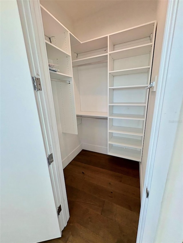 walk in closet with dark hardwood / wood-style flooring