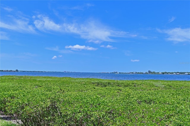 1020 Tidewater Shores Loop Unit 108, Bradenton, FL 34208 - water view