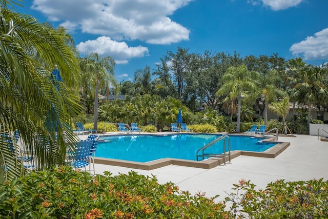 view of pool featuring a patio