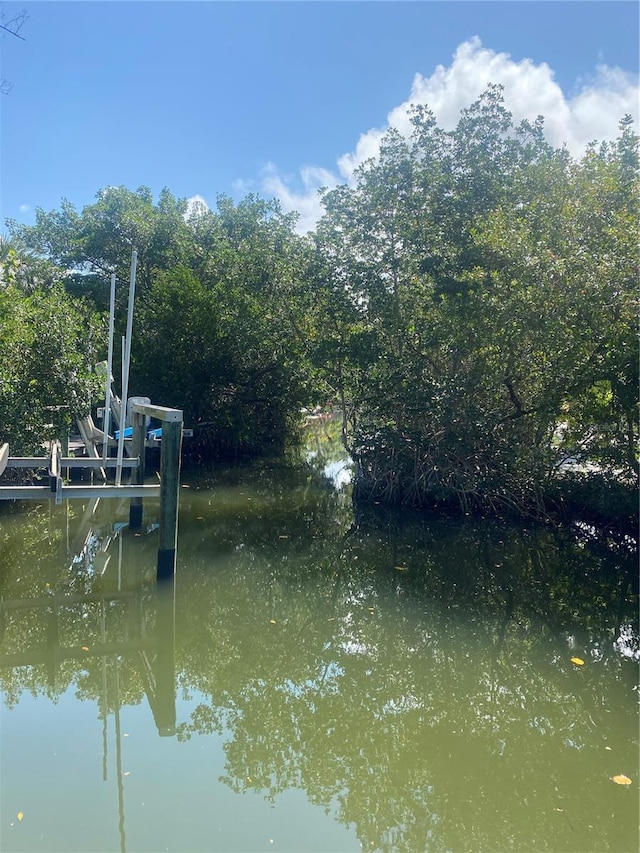 dock area with a water view