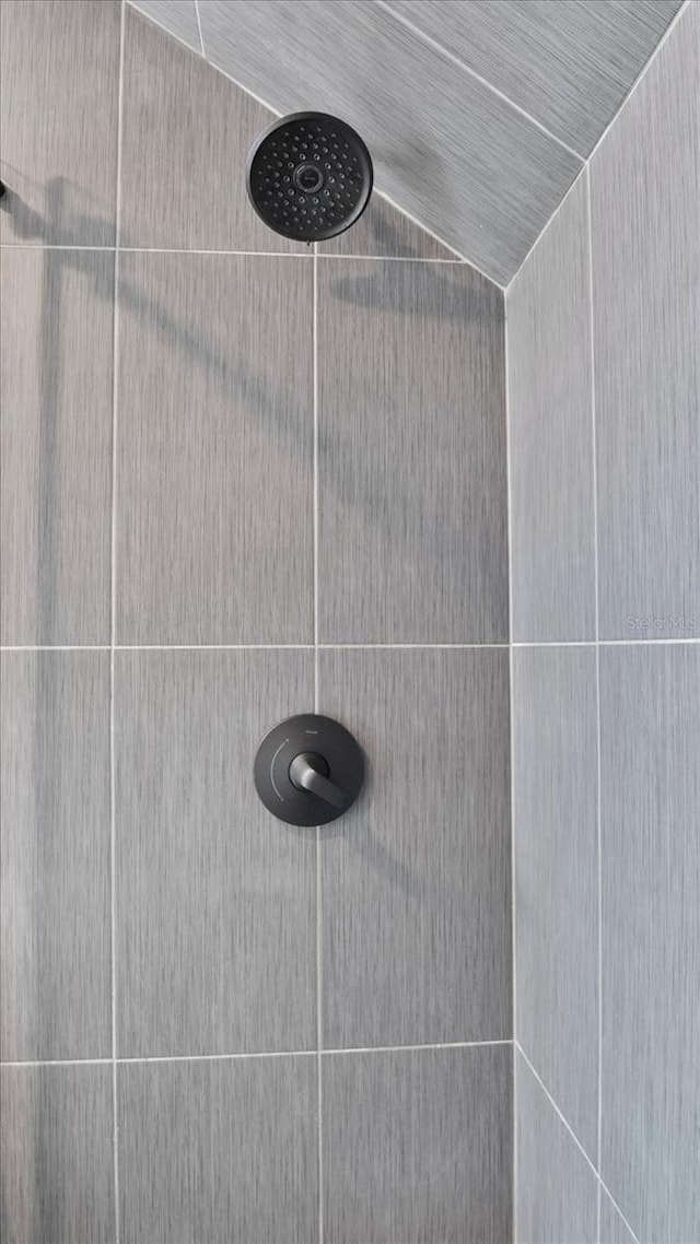 room details with tiled shower