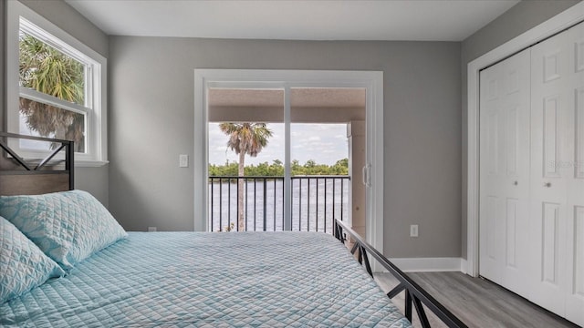 bedroom featuring a closet, access to exterior, a water view, and multiple windows