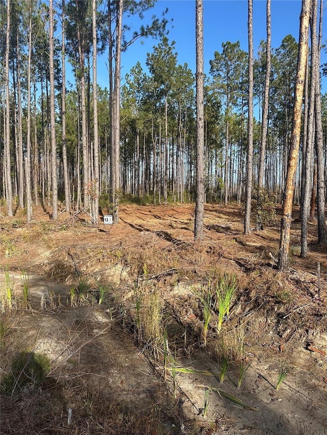 TBD NW 133rd Path, Lake Butler, FL 32054 - photo 2