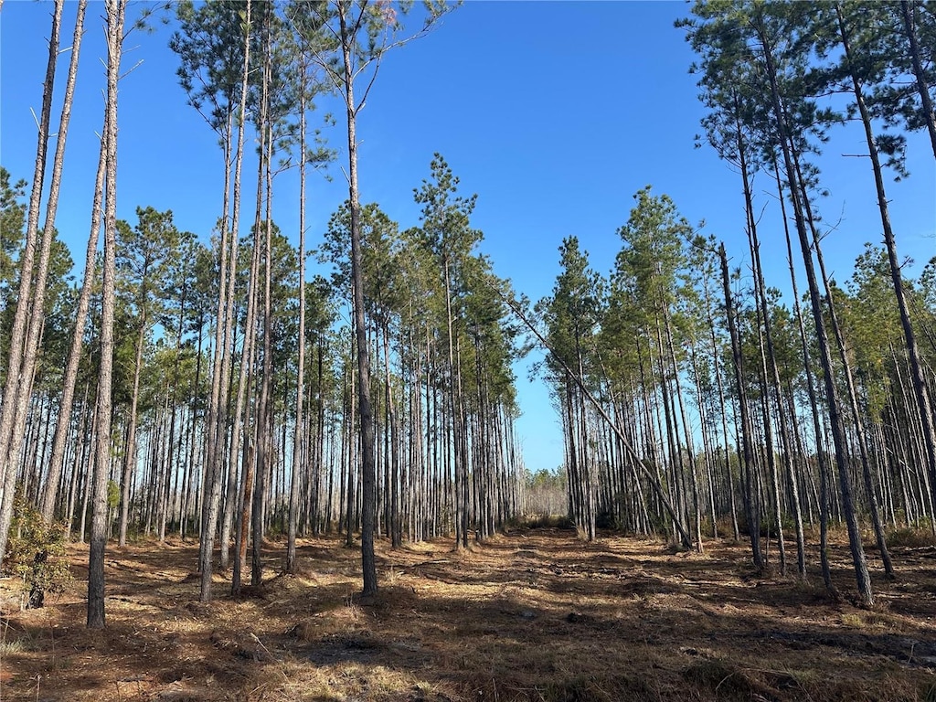 TBD NW 133rd Path, Lake Butler, FL 32054 - photo 1