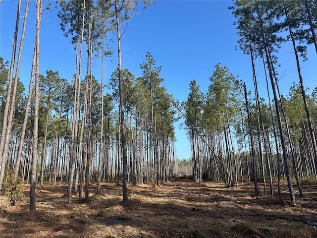 TBD NW 133rd Path, Lake Butler, FL 32054 - photo 1
