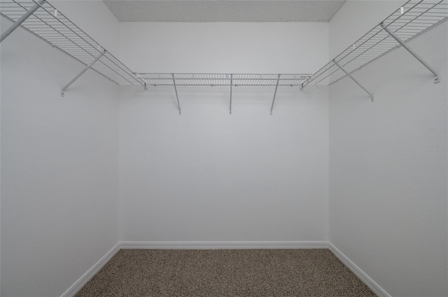 spacious closet featuring carpet