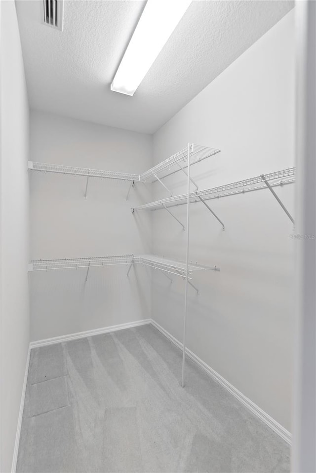 walk in closet featuring carpet flooring