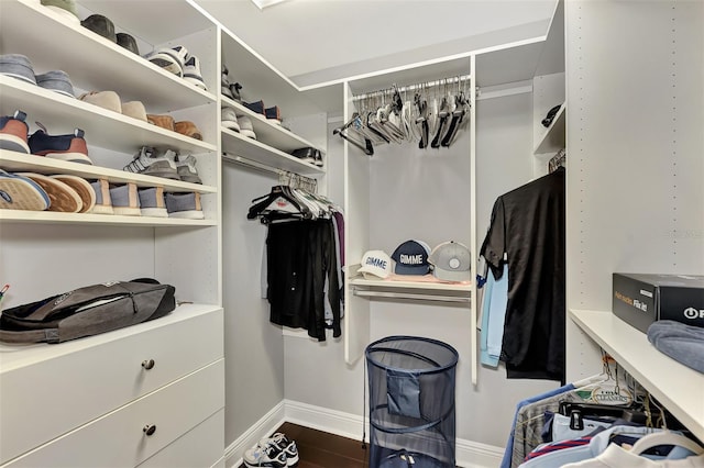 spacious closet featuring hardwood / wood-style flooring