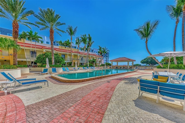 view of pool featuring a patio