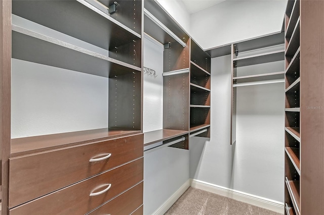 walk in closet with carpet flooring