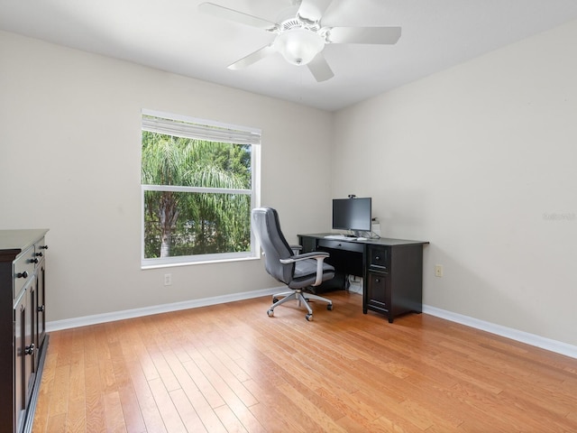 office space featuring ceiling fan and light hardwood / wood-style flooring