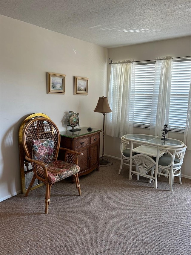 sitting room with a textured ceiling, carpet flooring, and baseboards