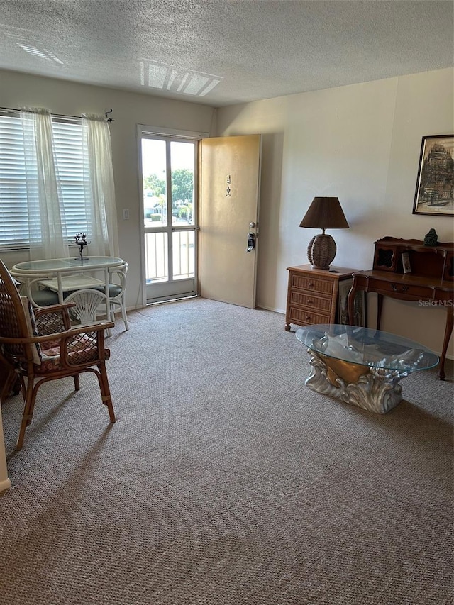 sitting room with carpet and a textured ceiling