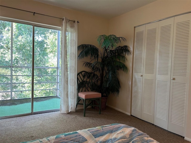 carpeted bedroom with a closet