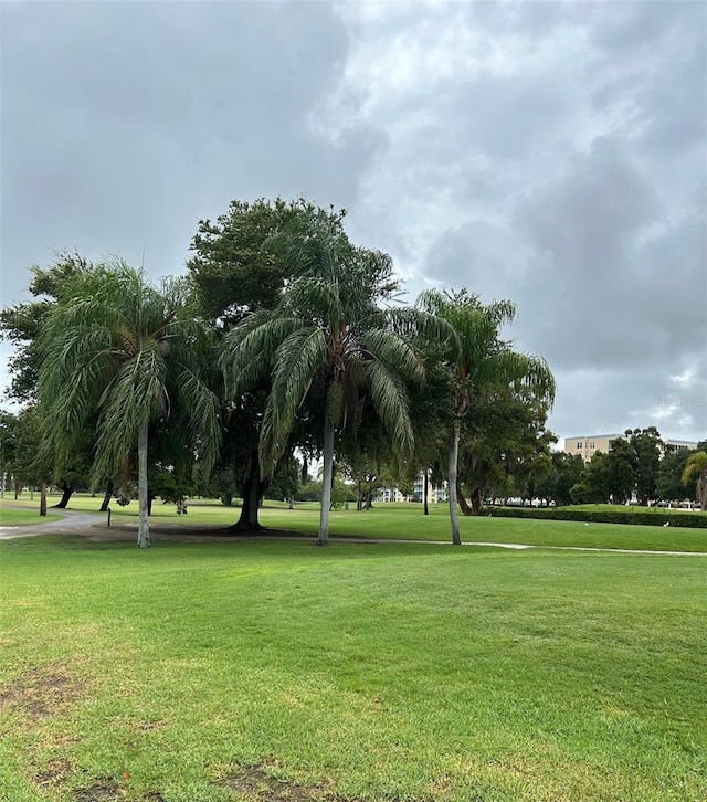 surrounding community featuring a lawn