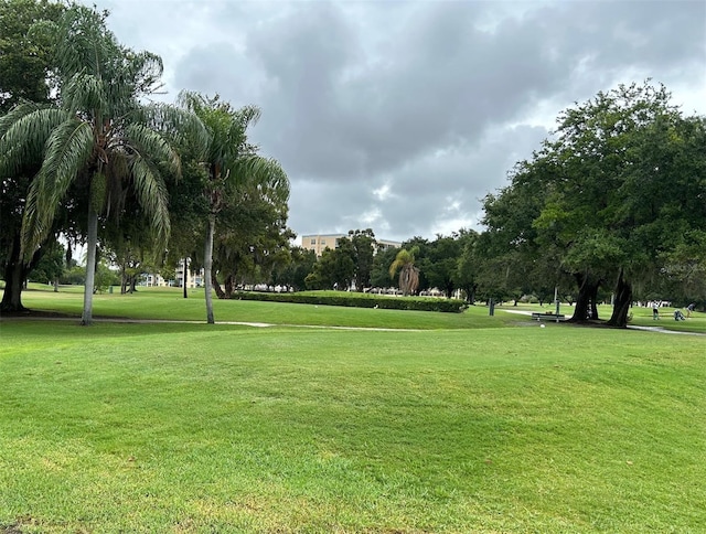 view of community featuring a yard