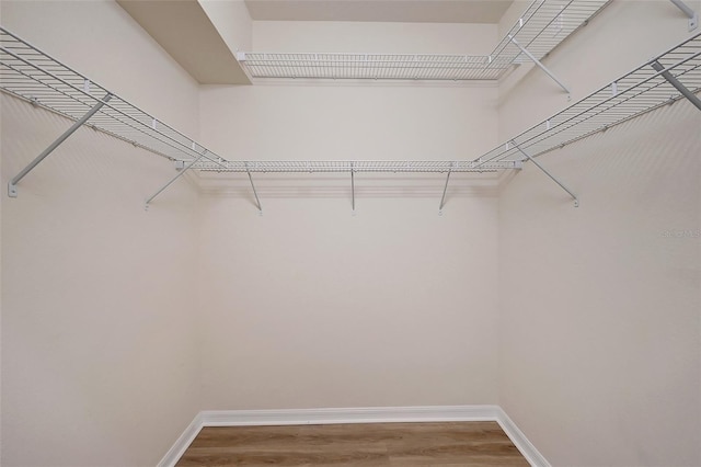 spacious closet featuring hardwood / wood-style floors