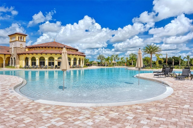 view of pool featuring a patio