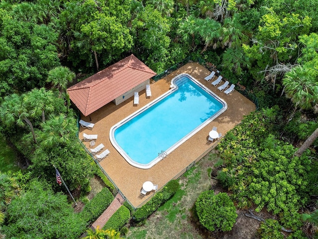 view of pool featuring a patio