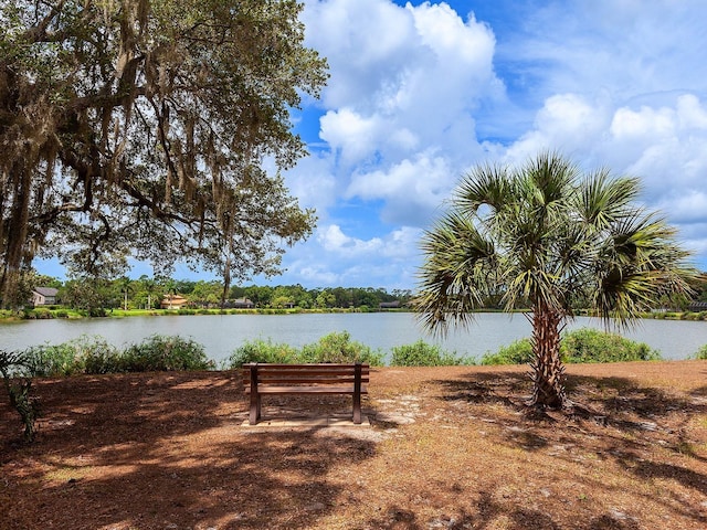 view of water feature