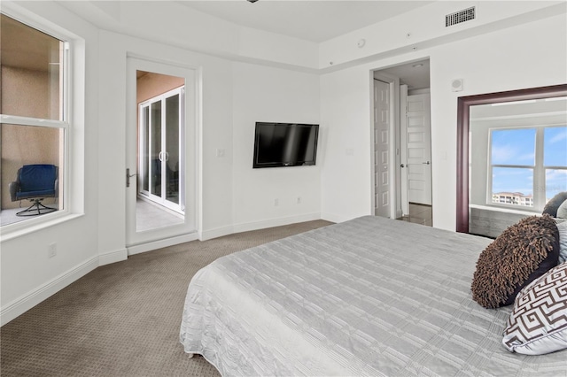 bedroom featuring a raised ceiling and carpet flooring