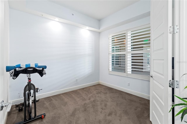 workout room featuring carpet flooring