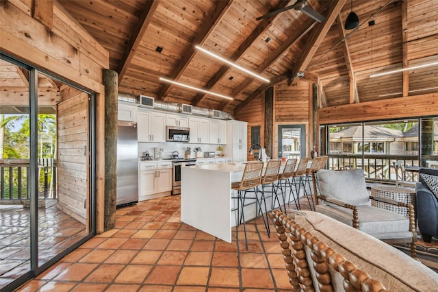 kitchen with white cabinetry, plenty of natural light, and stainless steel appliances