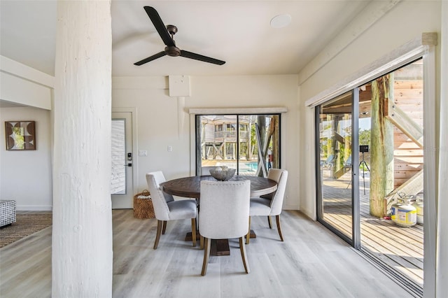 dining room featuring ceiling fan and light wood-type flooring