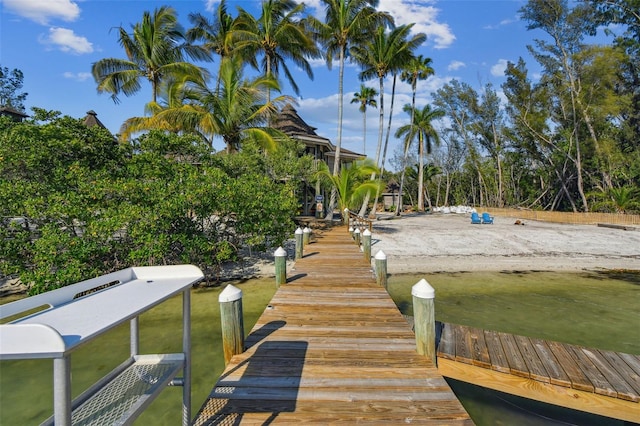 dock area with a water view