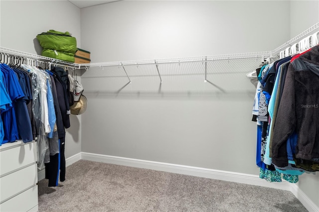 walk in closet with carpet