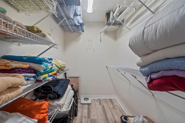 walk in closet featuring light hardwood / wood-style flooring