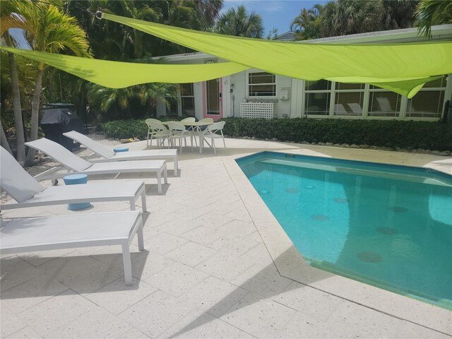 view of pool featuring a patio