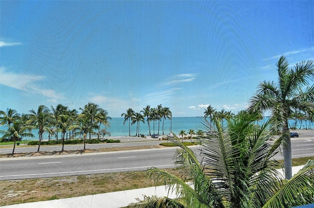 view of water feature