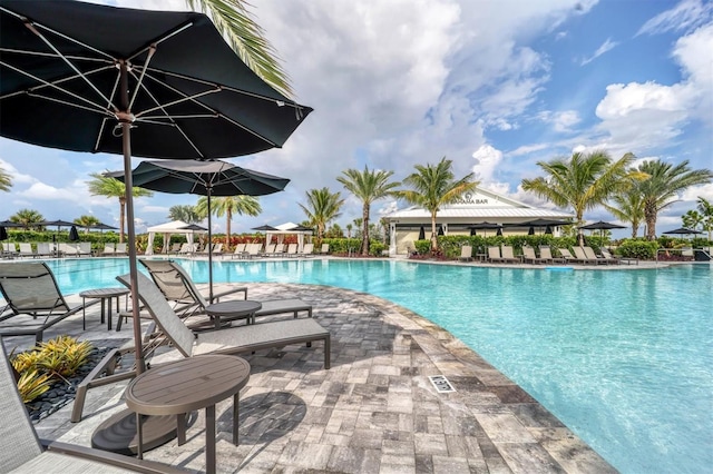 view of swimming pool with a patio area