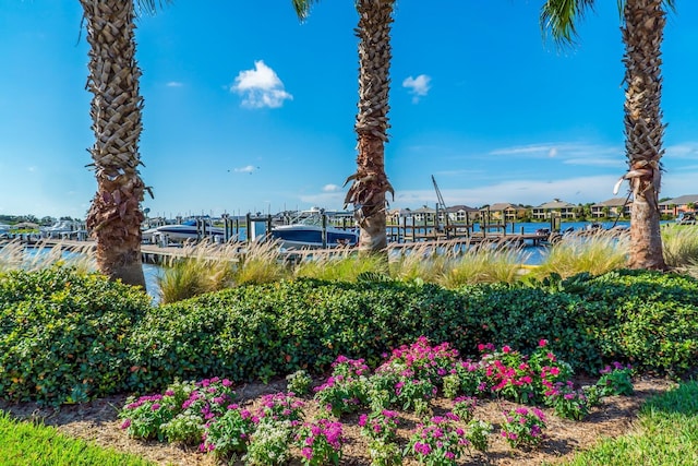 water view featuring a boat dock