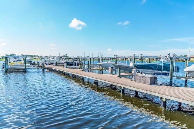 dock area with a water view