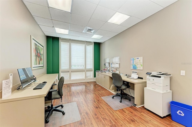 office featuring a paneled ceiling and light wood-type flooring